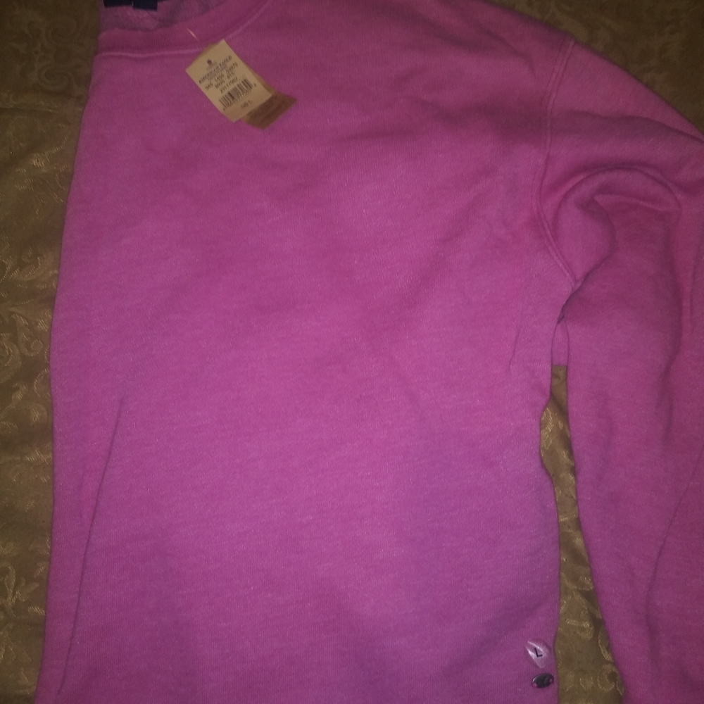American Eagle Long Sleeve Crop Top